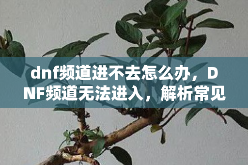 dnf频道进不去怎么办，DNF频道无法进入，解析常见问题与解决方案
