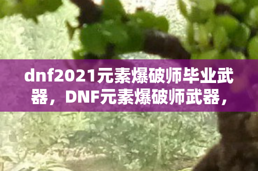 dnf2021元素爆破师毕业武器，DNF元素爆破师武器，掌握元素之力的关键