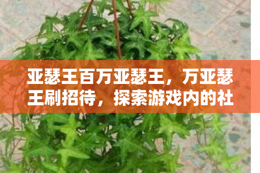 亚瑟王百万亚瑟王，万亚瑟王刷招待，探索游戏内的社交互动新体验