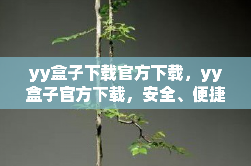 yy盒子下载官方下载，yy盒子官方下载，安全、便捷的游戏体验