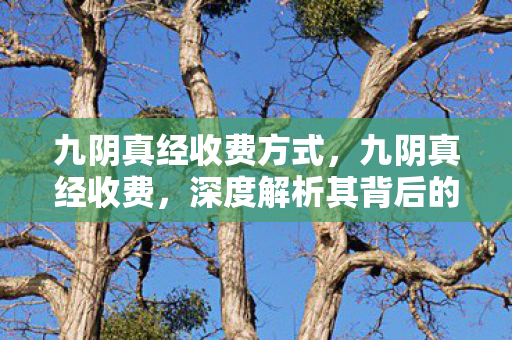九阴真经收费方式，九阴真经收费，深度解析其背后的商业模式与玩家体验