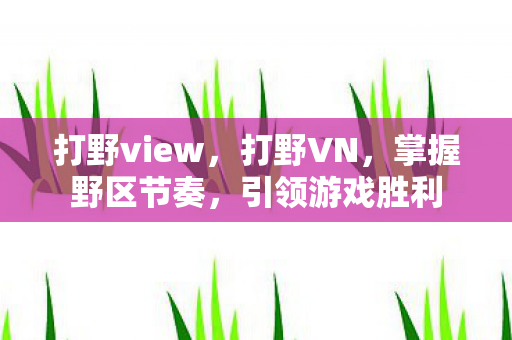 打野view，打野VN，掌握野区节奏，引领游戏胜利