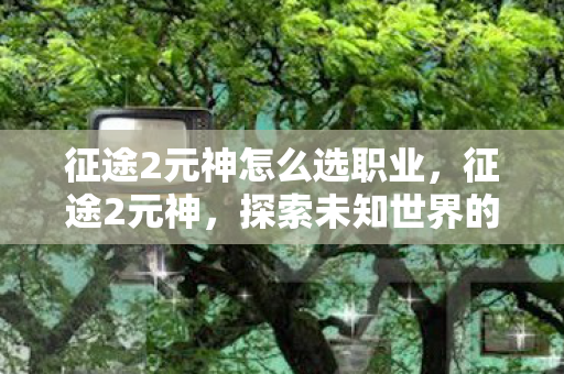 征途2元神怎么选职业，征途2元神，探索未知世界的神秘力量