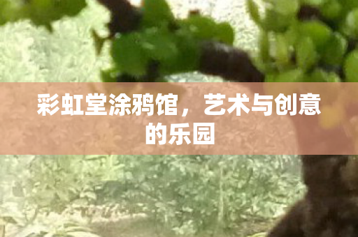 彩虹堂涂鸦馆，艺术与创意的乐园