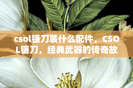 csol镰刀装什么配件，CSOL镰刀，经典武器的传奇故事