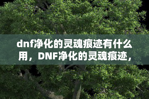 dnf净化的灵魂痕迹有什么用，DNF净化的灵魂痕迹，探索游戏内的神秘力量