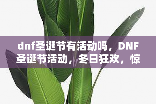 dnf圣诞节有活动吗，DNF圣诞节活动，冬日狂欢，惊喜连连！
