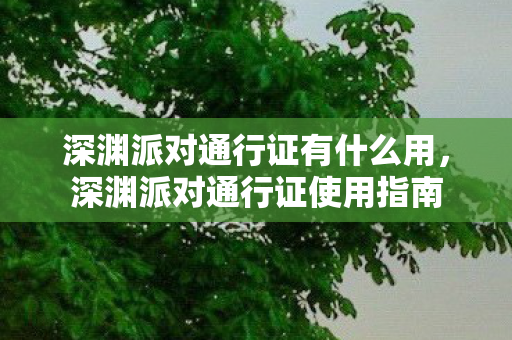 深渊派对通行证有什么用，深渊派对通行证使用指南
