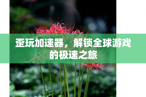 歪玩加速器，解锁全球游戏的极速之旅