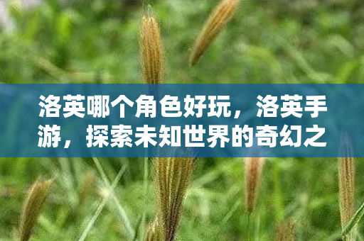 洛英哪个角色好玩，洛英手游，探索未知世界的奇幻之旅