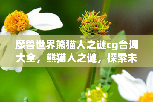 魔兽世界熊猫人之谜cg台词大全，熊猫人之谜，探索未知的奥秘