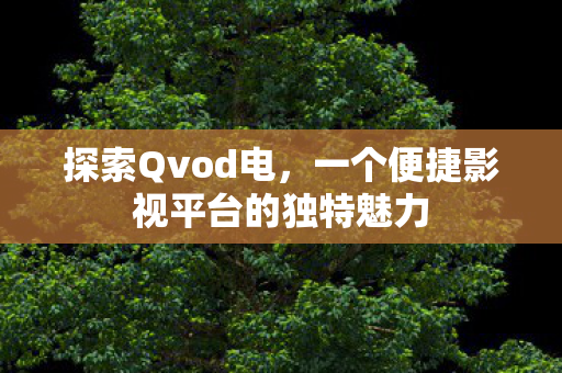 探索Qvod电，一个便捷影视平台的独特魅力