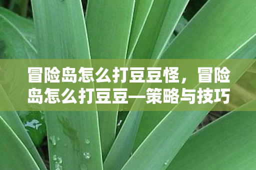 冒险岛怎么打豆豆怪，冒险岛怎么打豆豆—策略与技巧分享