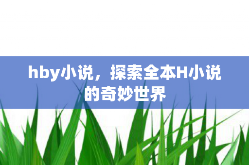 hby小说，探索全本H小说的奇妙世界