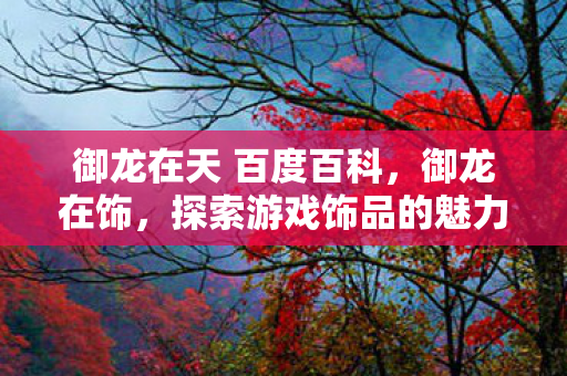 御龙在天 百度百科，御龙在饰，探索游戏饰品的魅力与价值