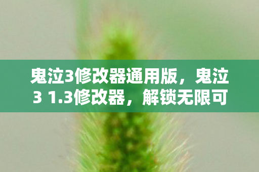 鬼泣3修改器通用版，鬼泣3 1.3修改器，解锁无限可能的经典游戏工具
