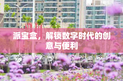 派宝盒，解锁数字时代的创意与便利