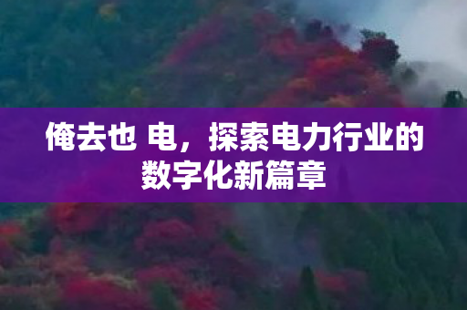 俺去也 电，探索电力行业的数字化新篇章