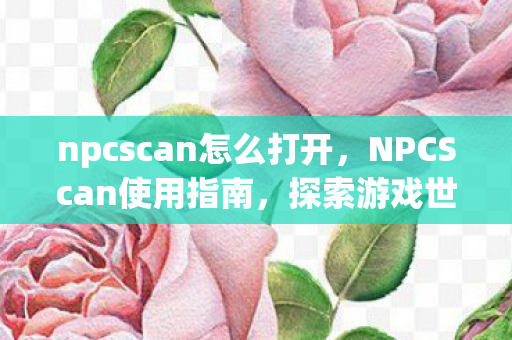 npcscan怎么打开，NPCScan使用指南，探索游戏世界的强大工具