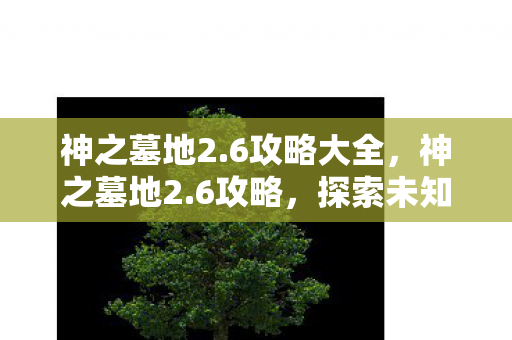 神之墓地2.6攻略大全，神之墓地2.6攻略，探索未知，挑战极限