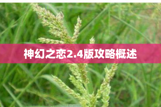 神幻之恋2.4版攻略概述