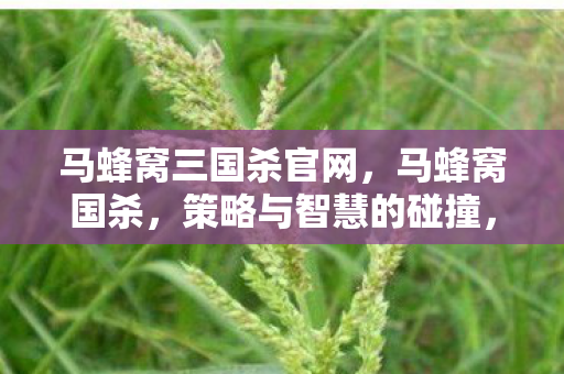 马蜂窝三国杀官网,马蜂窝国杀,策略与智慧的碰撞,重塑经典桌游新体验 马蜂窝三国杀官网,马蜂窝国杀,策略与智慧的碰撞,重塑经典桌游新体验