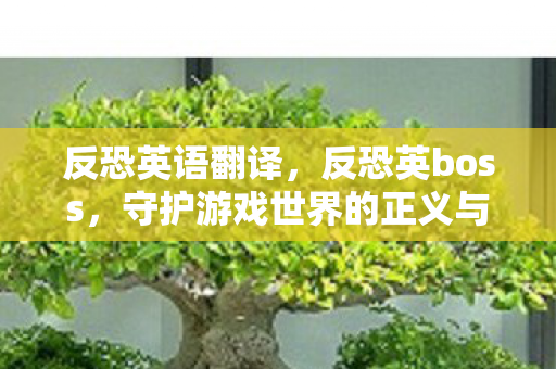 反恐英语翻译，反恐英boss，守护游戏世界的正义与公平
