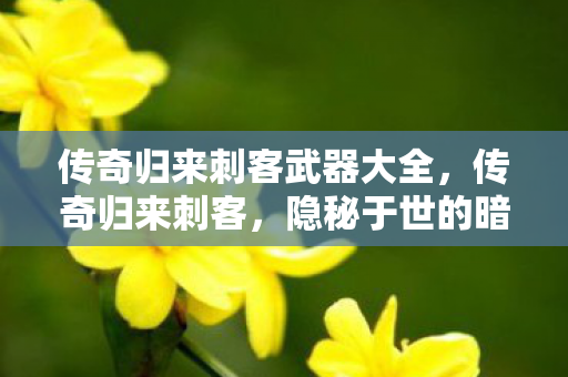 传奇归来刺客武器大全,传奇归来刺客,隐秘于世的暗夜行者 传奇归来刺客武器大全,传奇归来刺客,隐秘于世的暗夜行者