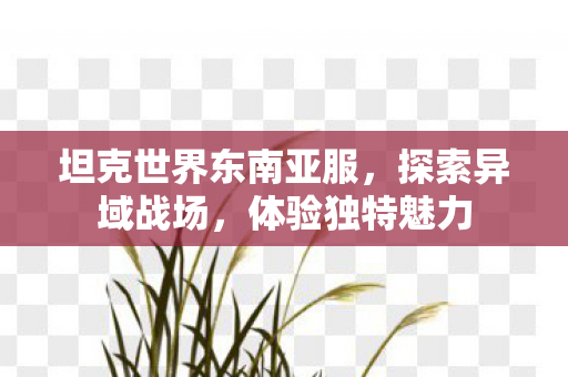 坦克世界东南亚服，探索异域战场，体验独特魅力