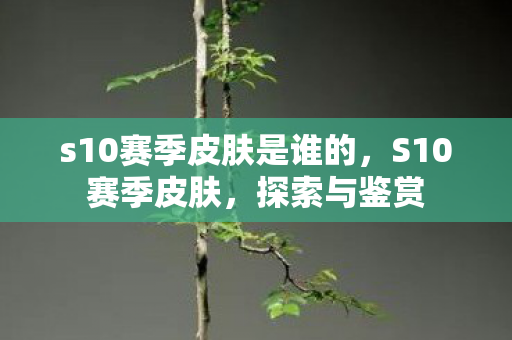 s10赛季皮肤是谁的，S10赛季皮肤，探索与鉴赏