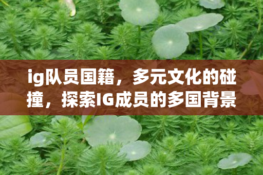 ig队员国籍，多元文化的碰撞，探索IG成员的多国背景
