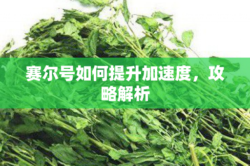 赛尔号如何提升加速度，攻略解析