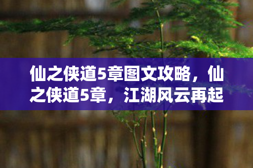 仙之侠道5章图文攻略，仙之侠道5章，江湖风云再起