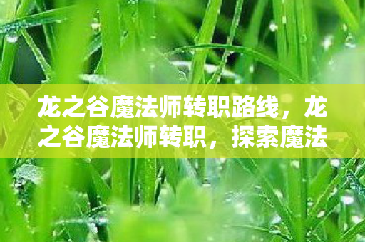 龙之谷魔法师转职路线，龙之谷魔法师转职，探索魔法世界的无限可能