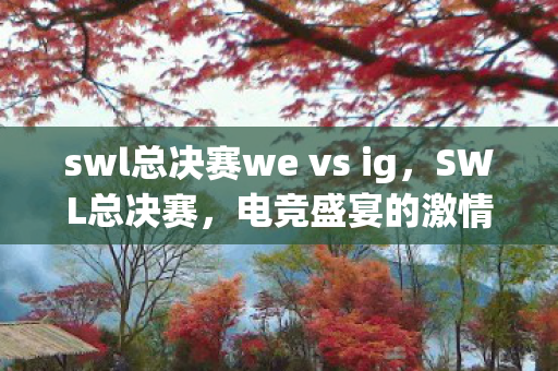 swl总决赛we vs ig，SWL总决赛，电竞盛宴的激情碰撞