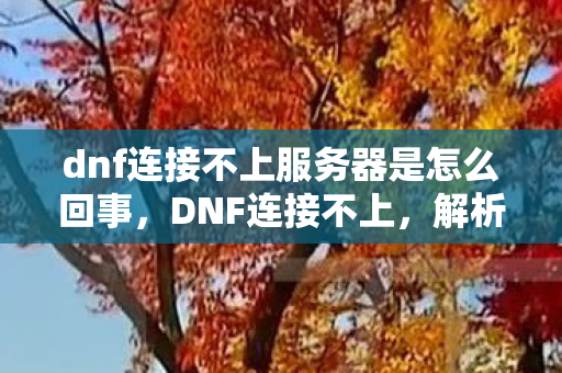 dnf连接不上服务器是怎么回事，DNF连接不上，解析游戏连接问题及其解决方案