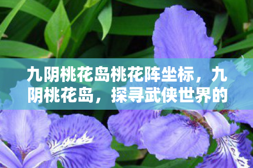 九阴桃花岛桃花阵坐标，九阴桃花岛，探寻武侠世界的神秘岛屿