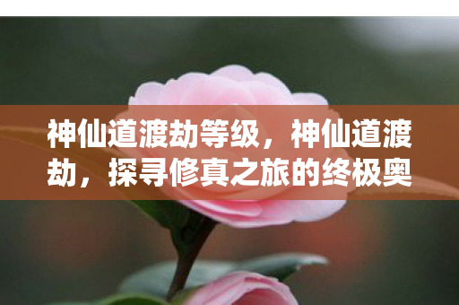 神仙道渡劫等级，神仙道渡劫，探寻修真之旅的终极奥义