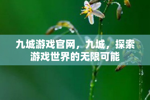九城游戏官网，九城，探索游戏世界的无限可能