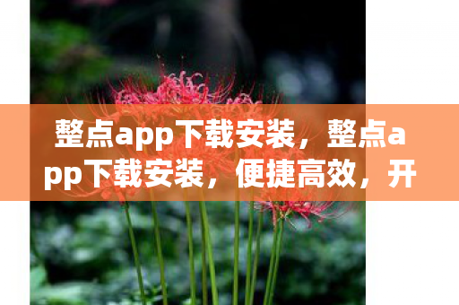 整点app下载安装，整点app下载安装，便捷高效，开启智能生活新篇章
