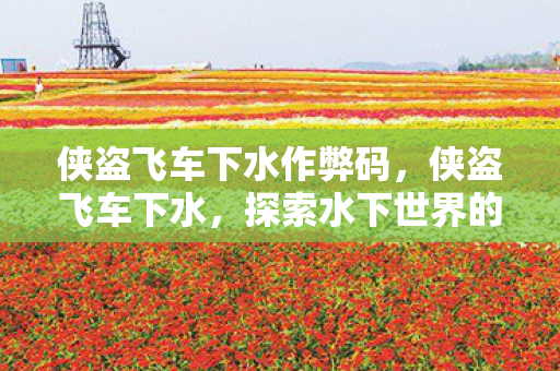 侠盗飞车下水作弊码，侠盗飞车下水，探索水下世界的奇妙冒险