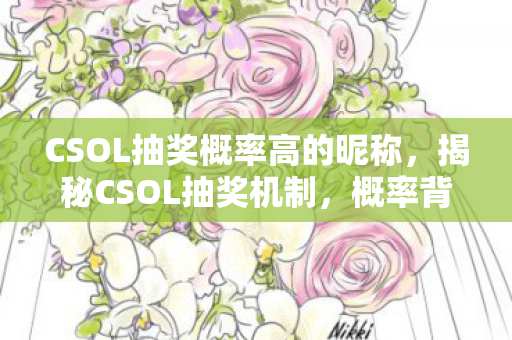 CSOL抽奖概率高的昵称，揭秘CSOL抽奖机制，概率背后的秘密与玩家策略