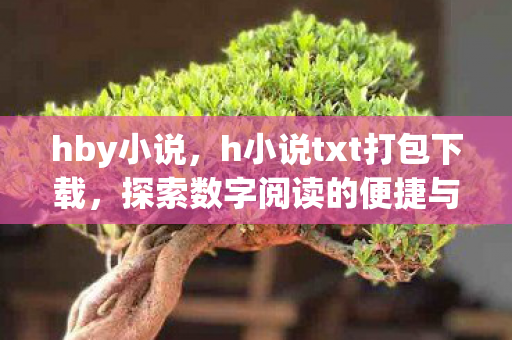 hby小说，h小说txt打包下载，探索数字阅读的便捷与乐趣