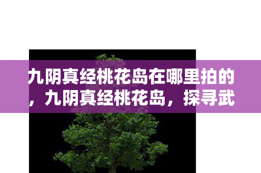 九阴真经桃花岛在哪里拍的，九阴真经桃花岛，探寻武侠世界的神秘岛屿