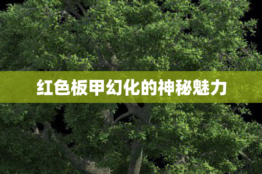 红色板甲幻化的神秘魅力 红色板甲幻化的神秘魅力