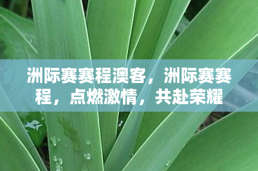 洲际赛赛程澳客，洲际赛赛程，点燃激情，共赴荣耀