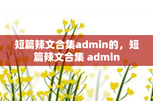 短篇辣文合集admin的，短篇辣文合集 admin