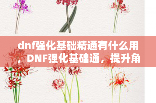 dnf强化基础精通有什么用，DNF强化基础通，提升角色战斗力的关键工具