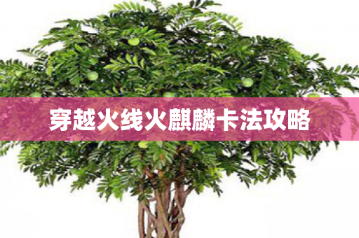 穿越火线火麒麟卡法攻略