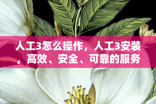 人工3怎么操作，人工3安装，高效、安全、可靠的服务器部署方案